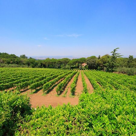 Frascati Country House Grottaferrata Exteriér fotografie