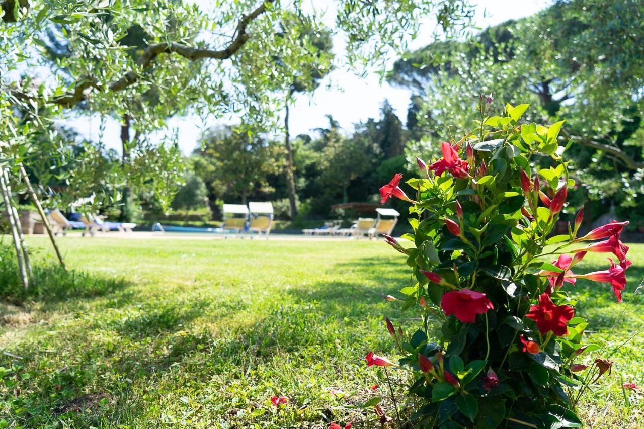 Frascati Country House Grottaferrata Exteriér fotografie